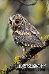 ���޽��^��