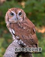 �����^��