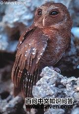 ���ͽ��^��