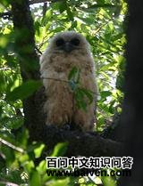 �����^��