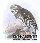 �ְ�С�^��