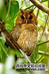 ������^��