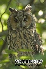 �����^��