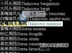 �����ͷ��Ÿ