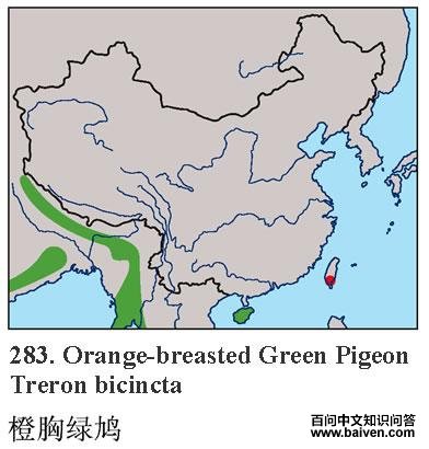 ������汎�����ֲ�ͼ