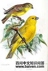 ���ɻ�ȸ�c