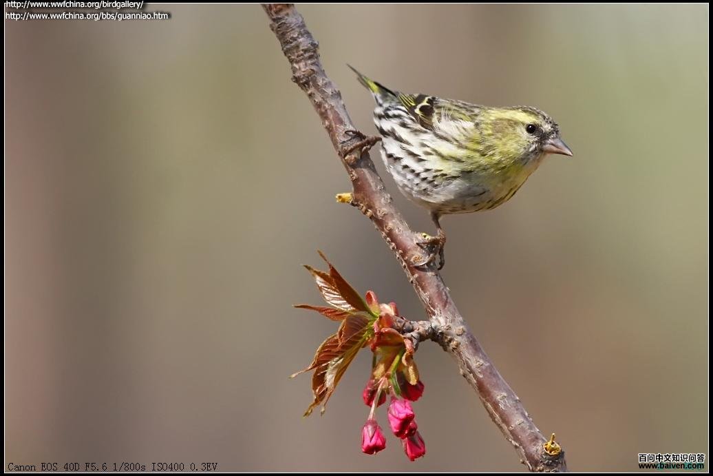 ��ȸ������Դ