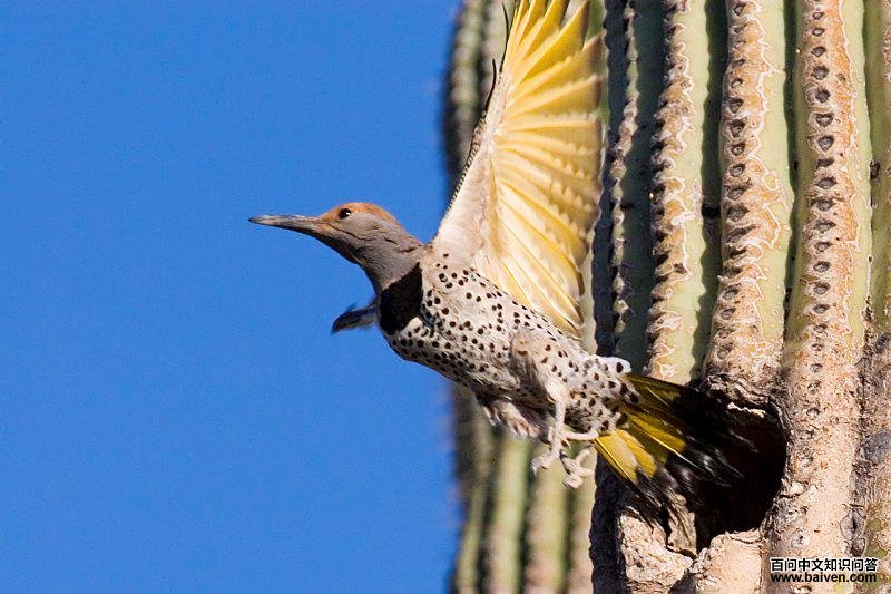 ���˳���