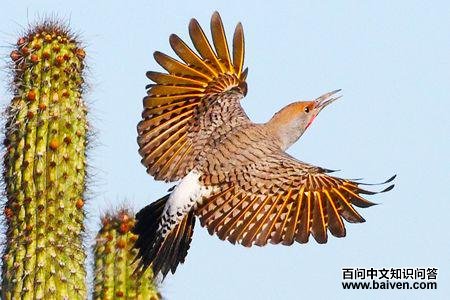 ���˳���������ͼ