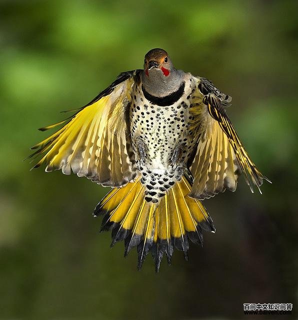 ���˳���������ͼ