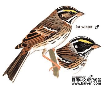 ��ü�c����̬����ͼ