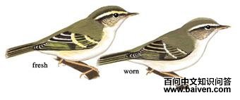 ��ü��ݺ����̬����ͼ