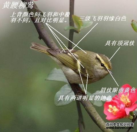 ������ݺ�����ж�����