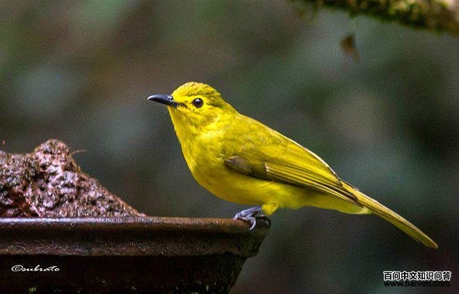 ��ü�ǵ�ͼƬ