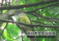 ���̼����l��ͼƬ