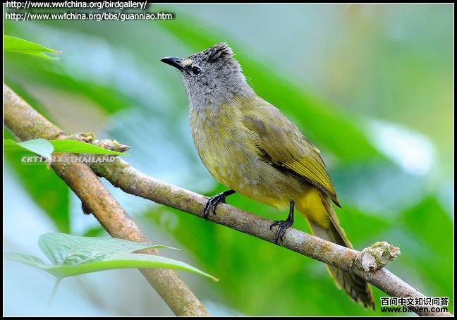 �����ǵ�ͼƬ