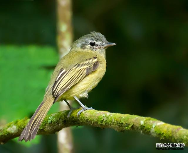 ���̰��l��ͼƬ