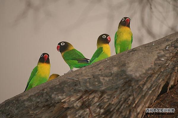 ����ĵ������