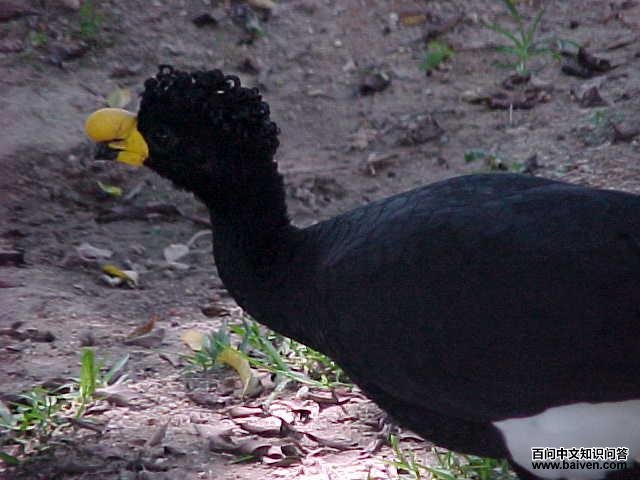 �����������ͼƬ