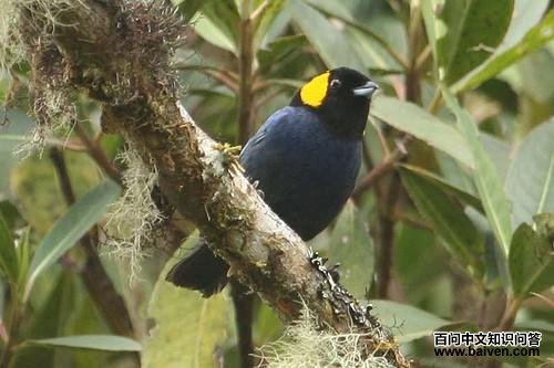 ������ȸ