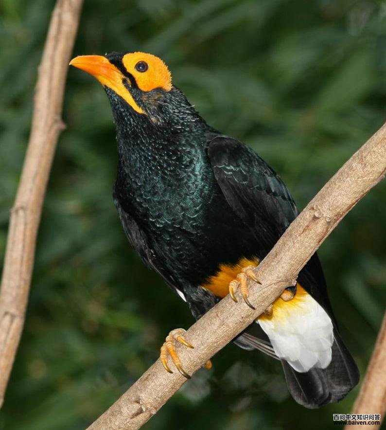 �������˸��ͼƬ