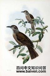 �����ͻ��