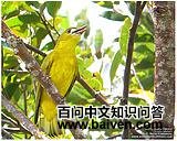 �����Ȼ��