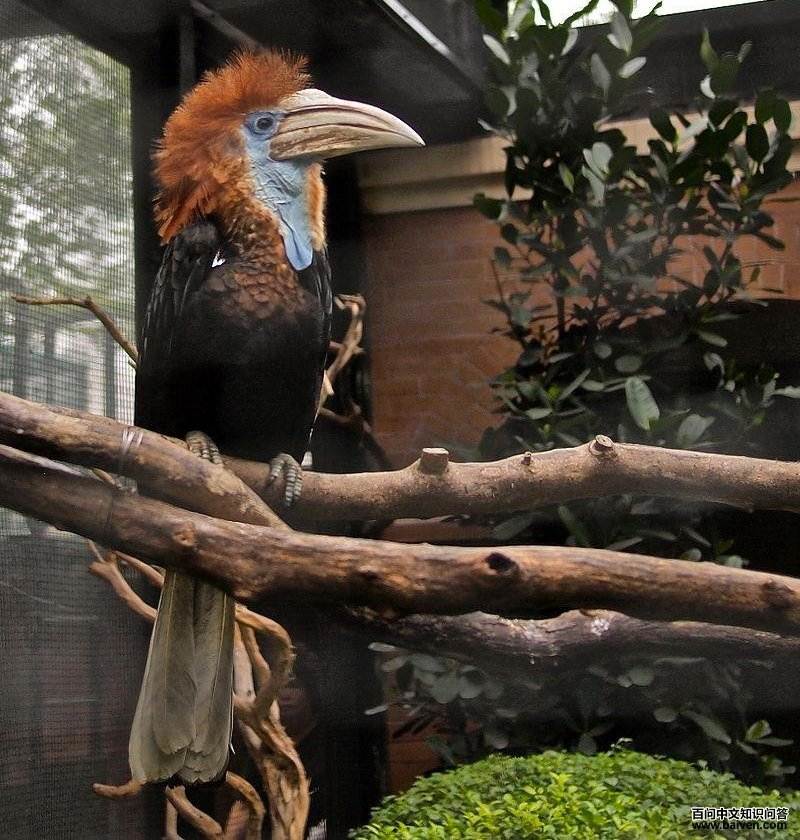 �ƿ���Ϭ���ͼƬ