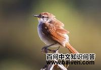 �����βȸ��ͼƬ