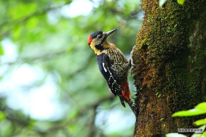 �ƾ���ľ��