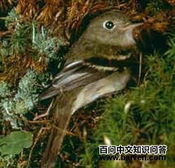 �Ƹ��ư��l