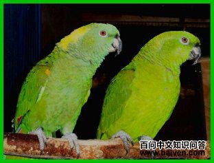 �ƾ�����ѷ���ĵ�ͼƬ