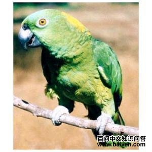 �ƾ�����ѷ����