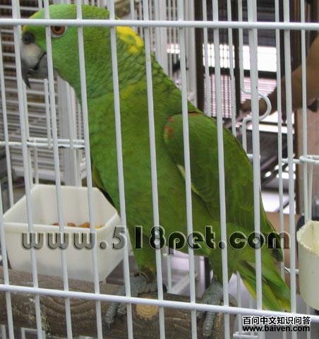 �ƾ�����ѷ����