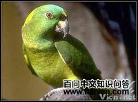 �ƾ�����ѷ����