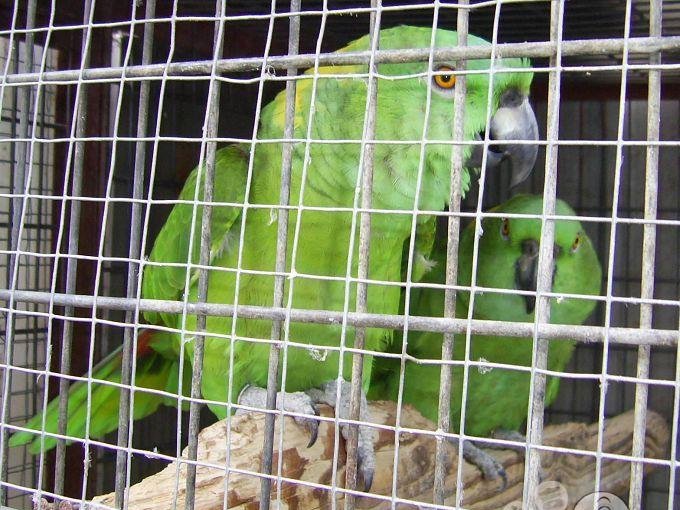 �ƾ�����ѷ����