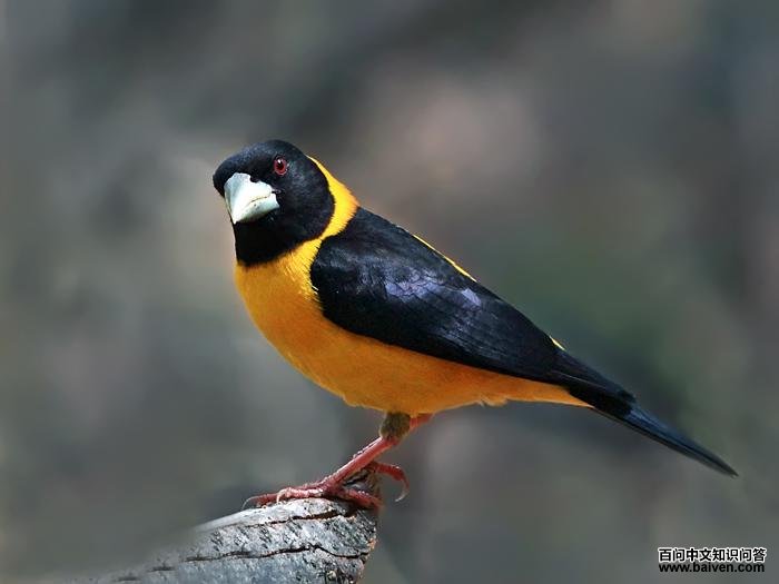 �ƾ�������ȸ������