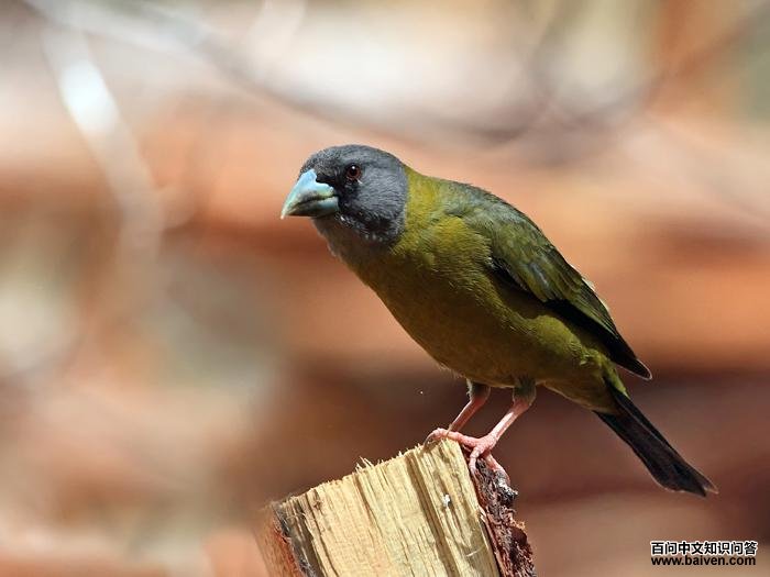 �ƾ�������ȸ������