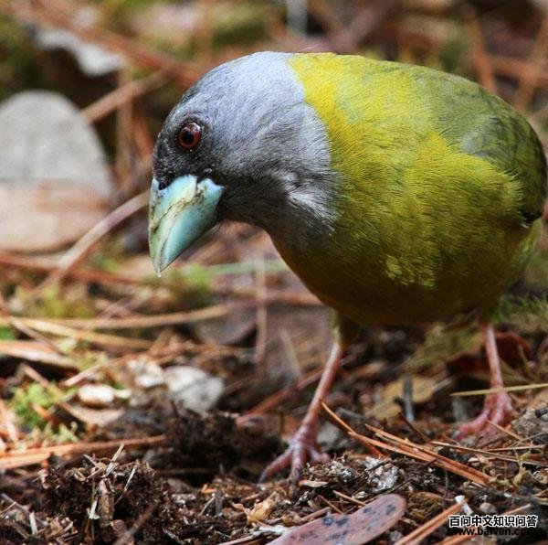 �ƾ�������ȸ