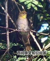 �ƾ�����ǵ�ͼƬ