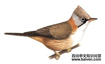 �ƾ�����