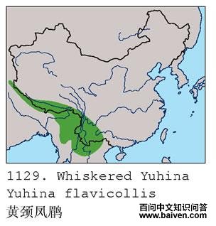 �ƾ�����