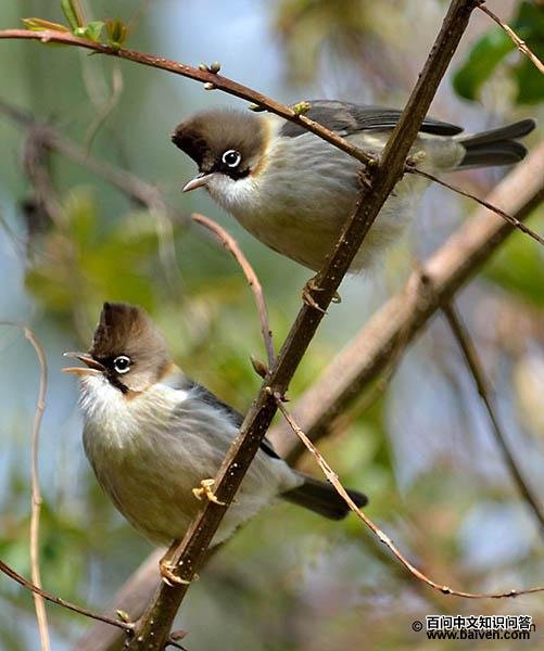 �ƾ�����