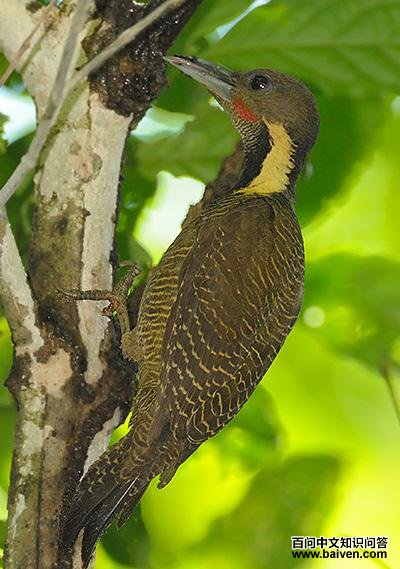 �ƾ�����ľ���ͼƬ