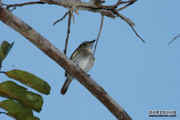 �Ƽ��ư��l��ͼƬ