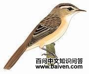 �Ƽ���ݺȸ��ͼƬ