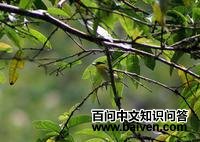 �Ƽպ�����l