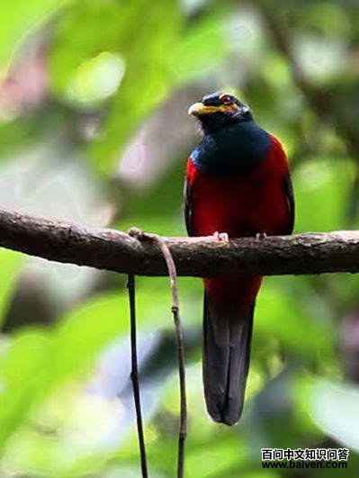 �Ƽշ���ҧ���ͼƬ