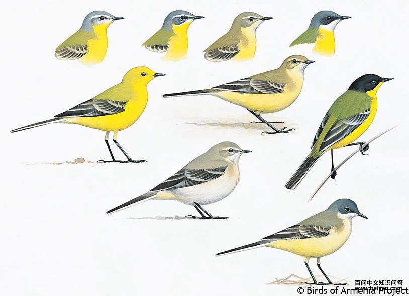 ���n�_������