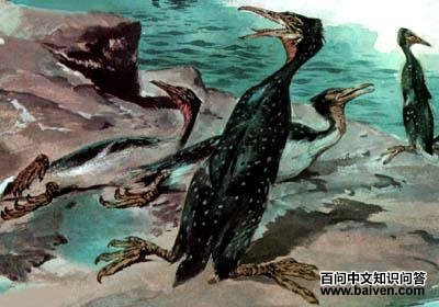 �ƻ���Ŀ��ͼƬ